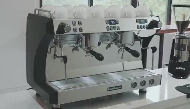 Two Group Commercial Italian Espresso Coffee Machine - China