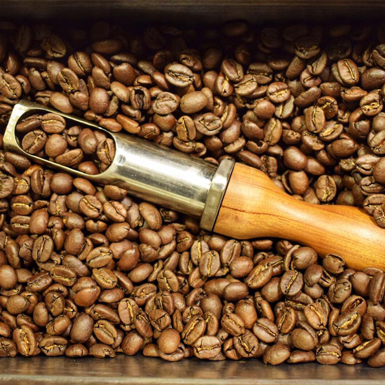 Loaded Spoon Sample Spoon – A&E Coffee Equipment